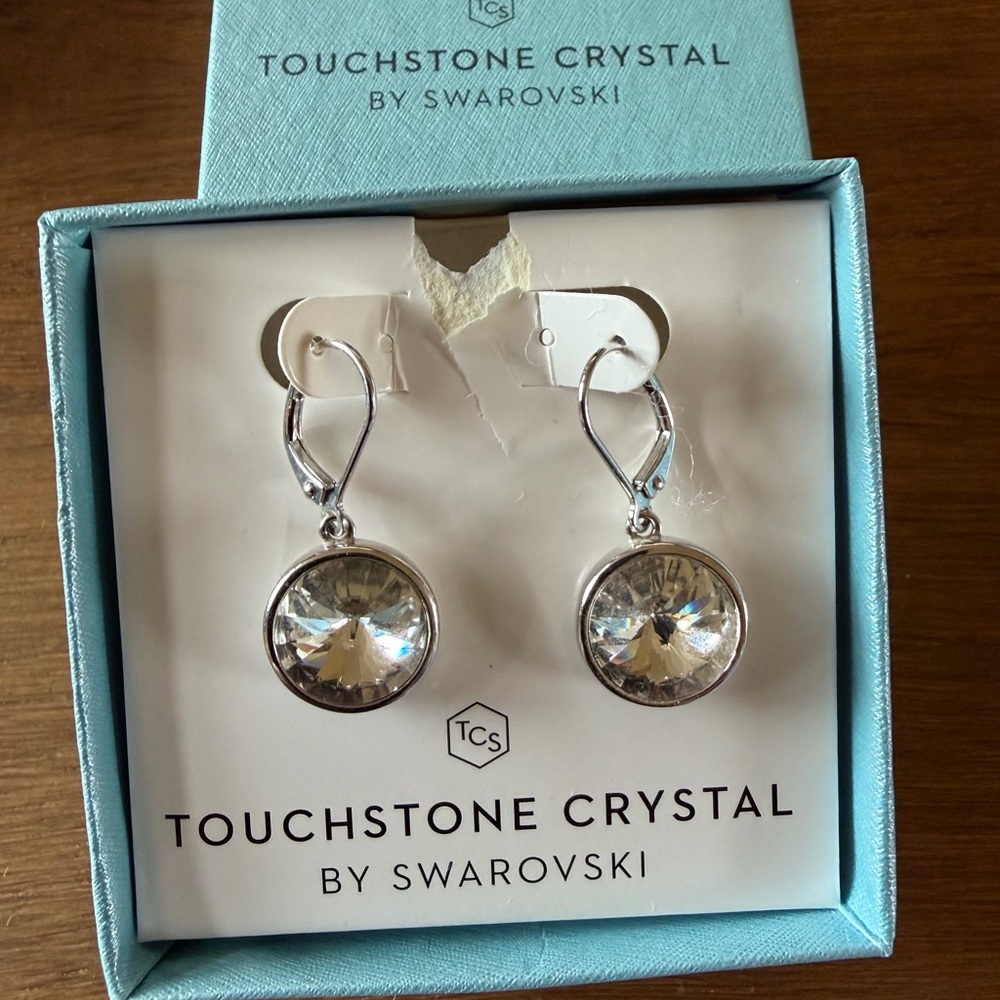 Touchstone Crystal Silver Earrings with Sparkling Accents - Picture 2 of 6